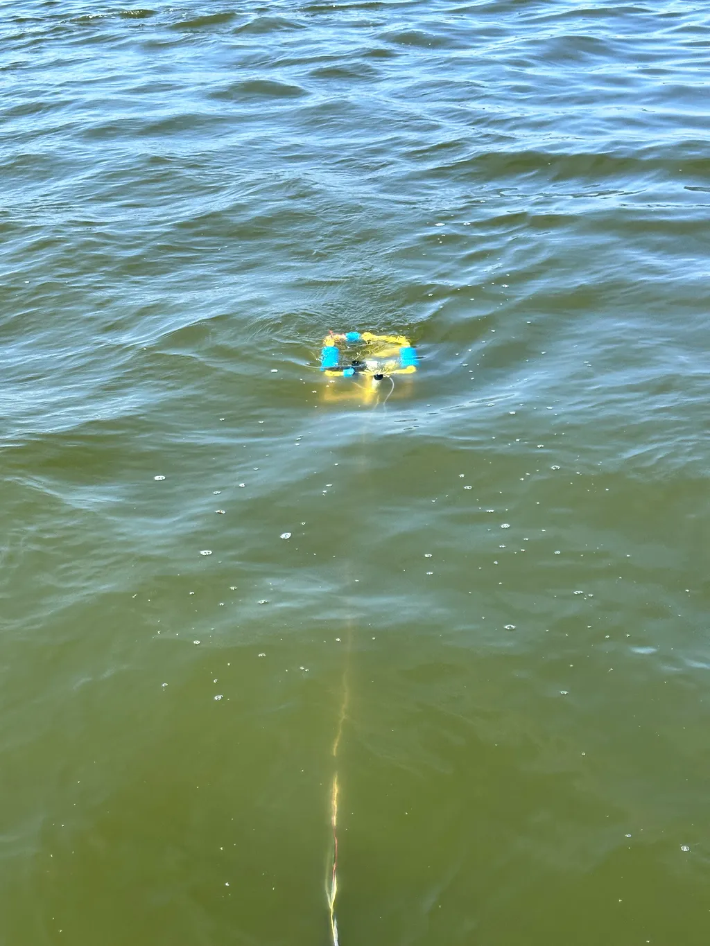 AquaGator, a student-built autonomous underwater robot, on the surface of a lake