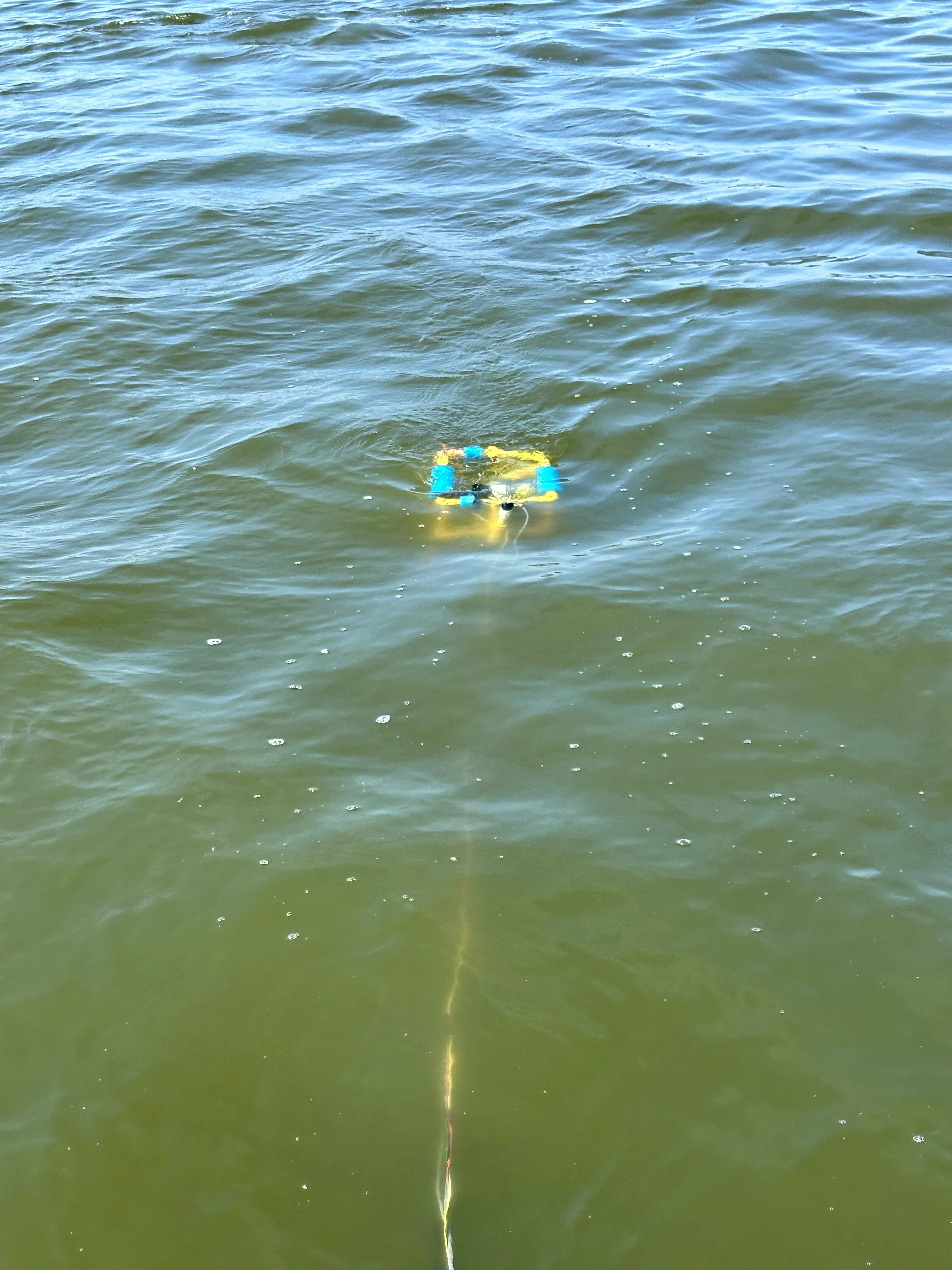 Autonomous underwater robot in water