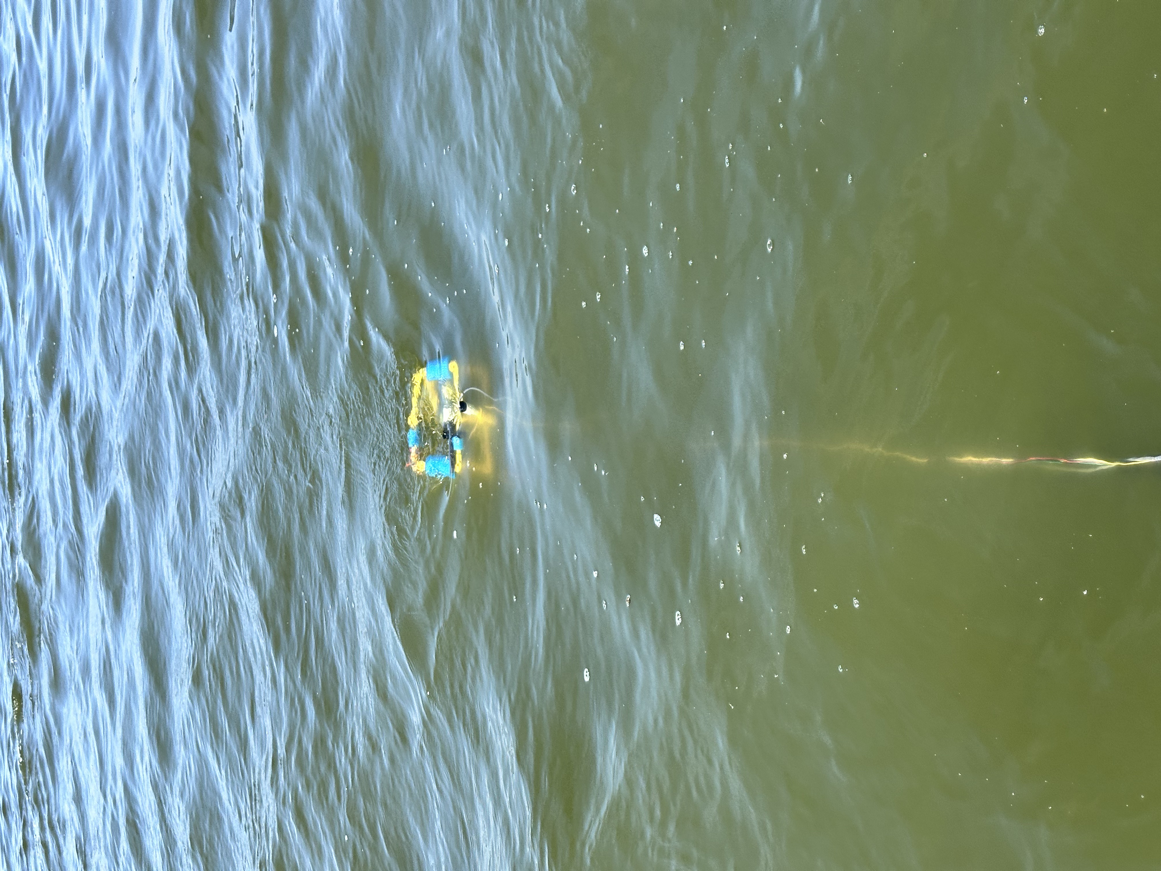 Robot in the water